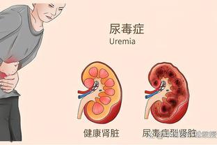 开云最新链接是多少截图3